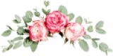 flowers-slider-txt-element.jpg.png flowers-slider-txt-element.jpg.png